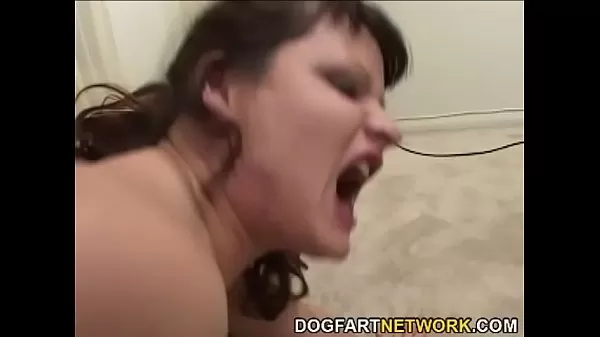 Mulher Sexo Com Cachorros
